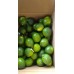 SEEDLESS LIME